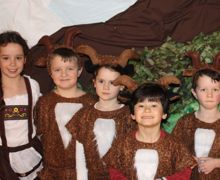 Goatherd and her goats