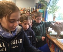 End of term blog pic 1