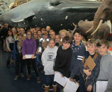 Y6 Natural History Musuem