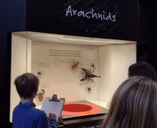 Img 20211122 104520268