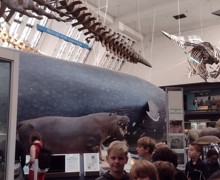 Img 20211122 113346413