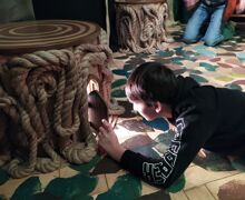 Img 20230223 104610 1