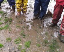 Img 20230328 1019071