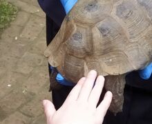 Img 20230427 105107 1