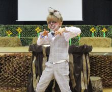 Fantastic mr fox 3