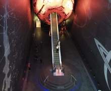 Natural history museum vist 1