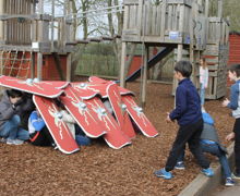 Y5 with Shields