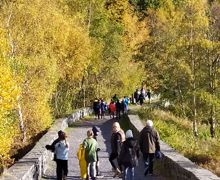 Img 20191027 114603 1